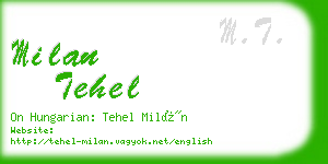 milan tehel business card